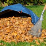 Conseils pour entretenir votre jardin pendant vos vacances comment entretenir jardin pendant vacances