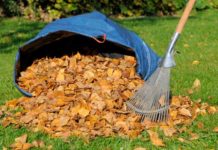 Conseils pour entretenir votre jardin pendant vos vacances comment entretenir jardin pendant vacances