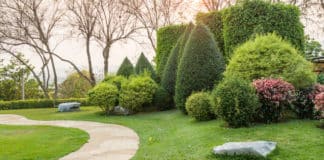 L’art du paysagisme : Créer des espaces extérieurs enchanteurs Travail de paysagiste